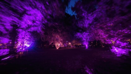 Wall Mural - Out-of-focus violet illumination in a garden for festive celebration backdrop