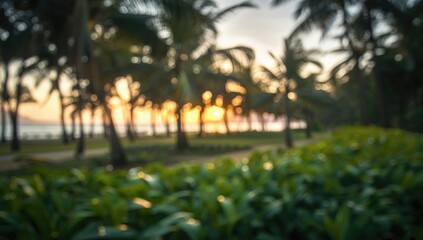 Wall Mural - Sunset scene with tropical coconut trees and blurred green park near the shore