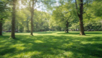 Wall Mural - Blurred background of lush greenery in a park