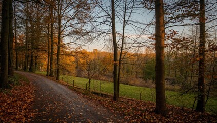 Wall Mural - Fall season scenery in a European urban park
