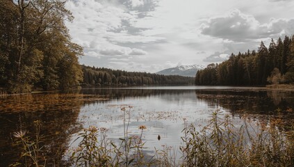 Wall Mural - A tranquil waterside view with serene reflections of the sky and nearby greenery, evoking a sense of calm and harmony between land, water, and air.