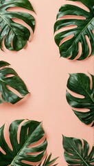 Wall Mural - a flat lay of vibrant green monstera leaves arranged around a soft peach background creating a natural and tropical aesthetic.
