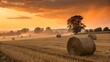 © Jani - Harvested wheat field with straw bales scattered around, orange sunset glow, dust particles floating in the air