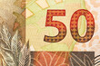 © bukhta79 - Brazilian 50 reais banknote 2010 .Laureate effigy of the symbolic sculpture of the Brazilian Republic.Back with image of a Onça pintada.Bonistics.Fragment banknote for design purpose.