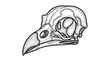 © Joko - Detailed Bird Skull Illustration - Anatomy and Structure in Black and White.