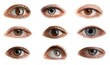 © Pixel-Shot - Set of many different human eyes on white background
