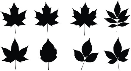 Collection of autumn leaf silhouettes isolated on white background
