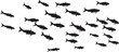 © shopone - School of black fish silhouettes swimming school of fish