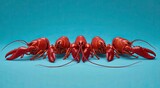 Five cooked, red crustaceans arranged in a horizontal row against a solid, light blue backdrop