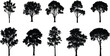 © Kartik Creative - Set of realistic tree silhouettes, black forest illustration, natural landscape vector design, detailed deciduous and tropical tree shapes