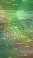 Wall Mural - Animation of business and marketing terms, with binary, light beams and hexagons, on green and red