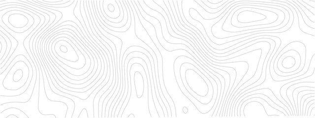 Wall Mural - Abstract topographic map background contour map design element great for presentations and backgrounds