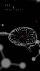 Wall Mural - Animation of scientific data processing and human brains