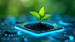 © EPICreation - A vibrant green plant sapling growing from soil on glowing computer chip - hope, future, growth, nature, sustainability, agritech, environment, eco-friendly technology, ai, modern innovation