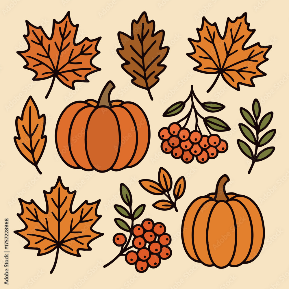 Set. Autumn. Leaves, pumpkins, rowan berries.