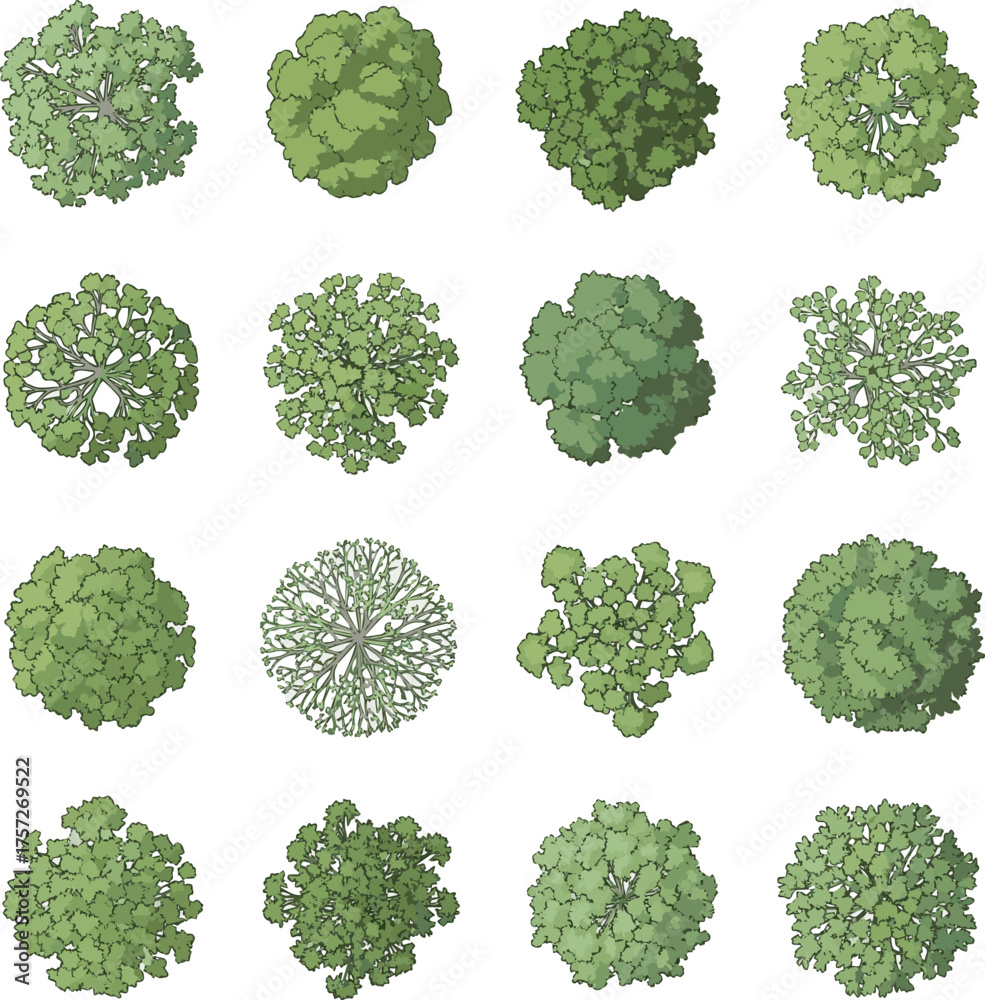 Isolated a kinds of deferent Vector tree top view isolated on white ...