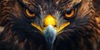 © Gendar SINURO - Intense portrait featuring the  face of a powerful bird of prey, showcasing sharp focus on the piercing orange eyes, prominent yellow beak, and dark brown feathers, conveying a feeling of vigilance...