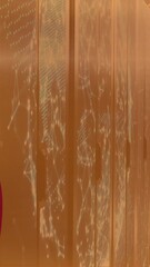 Wall Mural - Animation of national flag over server room