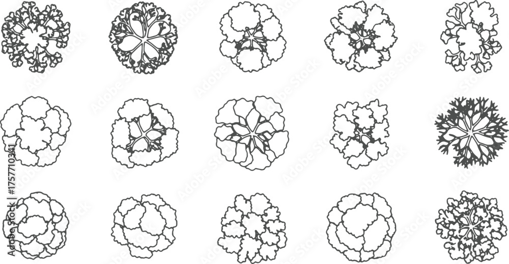 Top View Tree Line Vector Set of Tree Top View Line Art Vector Illustration Stock Vector | Adobe ...