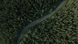 aerial. Aerial view of a serene forest road winding through lush greenery under natural daylight. travel magazines, destination branding, designed for travel destination branding.