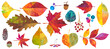 © Keiko Takamatsu - 秋の紅葉した、森の自然素材イラストセット。紅葉やどんぐりなどの木の実。カラフルなペインティングテクスチャのイラスト。