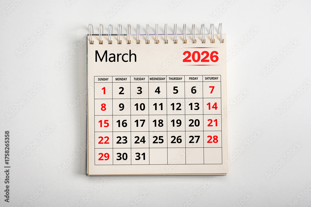 2026 visual data 4