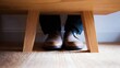 © CYBERPINK - Pair of feet resting under a wooden table. the legs of the person are visible, and they are wearing dark blue jeans and brown leather shoes.