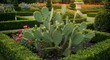 © Naga - Cactus in a formal garden setting with green hedges and flowering plants