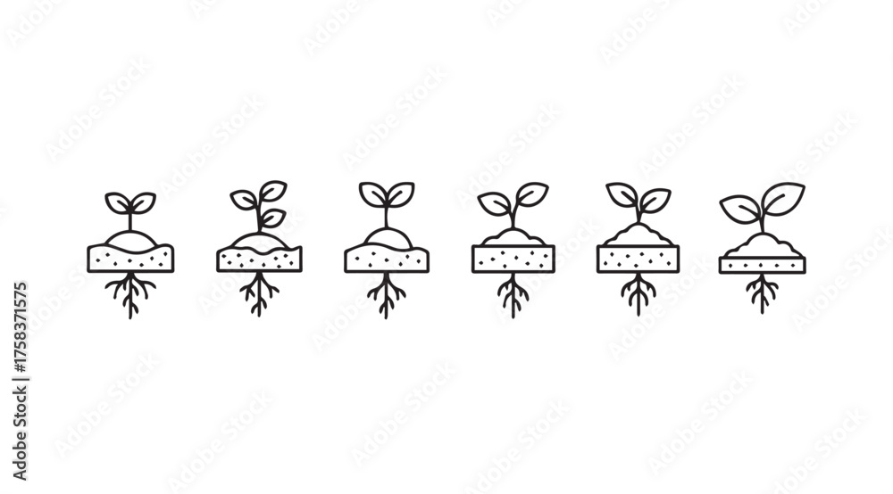 Seedling growth stages from seed to sprout life cycle concept in hand ...
