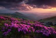 © Rachmedia - Scenic Mountain Landscape with Pink Blooming Flowers Under a Dramatic Sky at Sunset