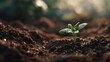 © Jojo* - Young plant sprouts from rich soil, symbolizing new growth and life.