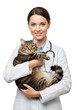 © David Studio - Veterinarian hugging a cute cat isolated on white