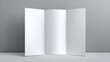 © Olena - Minimalist Blank Tri-Fold Brochure Mockup Showcasing Open Leaflet Design