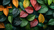 © Akash Tholiya - Top view of many different colorful leaves covered by dew. Autumn season, wallpaper