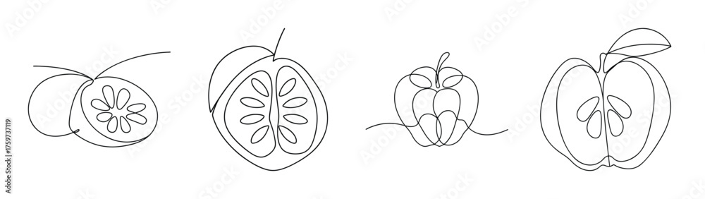 Line art drawings of custard apple fruit showing interior seeds and ...
