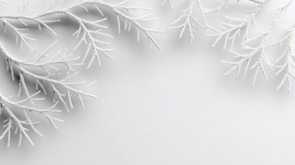 Naklejka na meble Minimalist White Branches on Soft Background Featuring Organic Textures and Top View Perspective