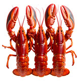Three vibrantly red cooked crustaceans with extended claws, top-down view, black background