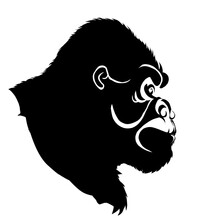Vector Kinclong King Kong Mockup Free Stock Photo - Public Domain Pictures