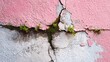 © Fitri - Pink and white cracked wall with vegetation sprouting from fissures.  Deterioration, texture, and nature's resilience are evident