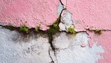 Pink and white cracked wall with vegetation sprouting from fissures. Deterioration, texture, and nature's resilience are evident