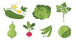 © ChantalChmielewska - A collection of fresh green vegetables and herbs.