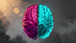 © Iris - Illustrated human brain split into organic and geometric halves, symbolizing dual nature of thought