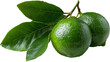 © ANISHA - Two fresh limes with leaves isolated on transparent background