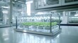 © IzzExpert - Miniature sustainable plant cultivation system in a laboratory