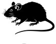 © Alloca Design Studio - rat on a transparent background, black, logo, mouse, rat, silhouette