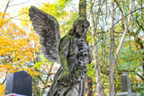 Weathered stone angel statue with damaged wings stands among golden autumn foliage at Powązki Cemetery Warsaw Poland fall. High quality photograph