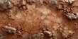 © scaliger - Aerial view of cracked dry earth with rough texture background and natural brown hue in arid environment