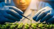 © Artfinity - Scientist performing genetic crop modification in a laboratory. Food security, agriculture, and botany research. Hands in gloves using tweezers to handle a tiny plant seedling