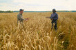 © pressmaster - Caucasian young man and Black middle aged man standing in wheat field discussing crops, both gesturing with hands, tall golden wheat surrounding them, rural landscape visible