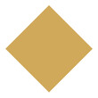 © Richard Marx - gold diamond graphic shape